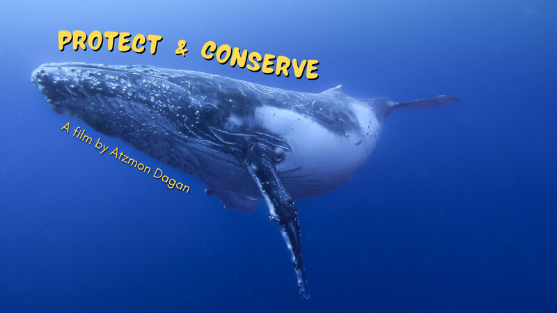Protect & Conserve 