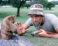 caddyshack_thumb.jpg