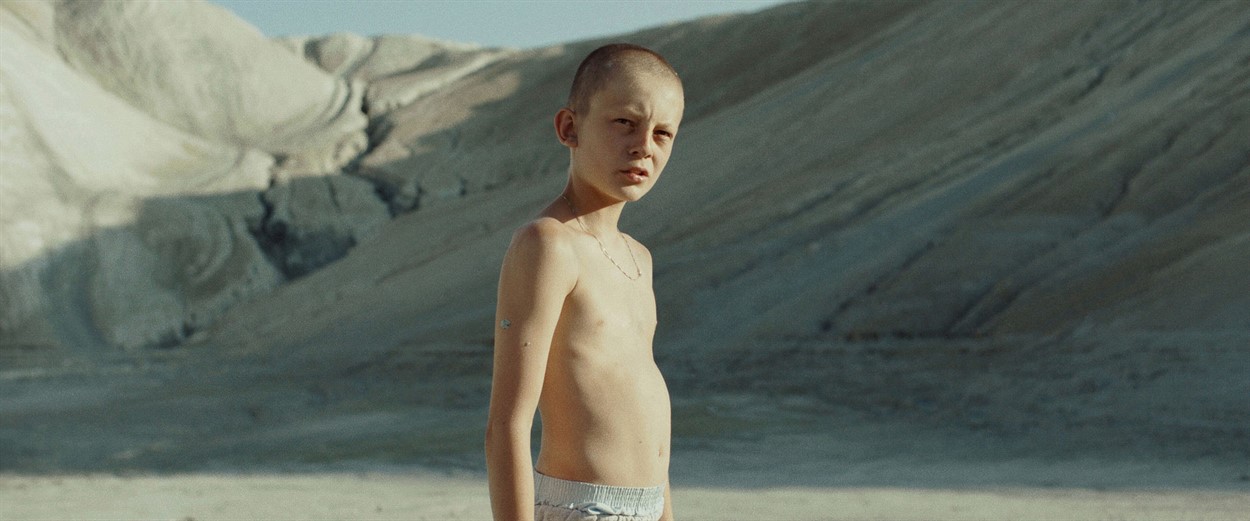 Fauve (Fauve) 