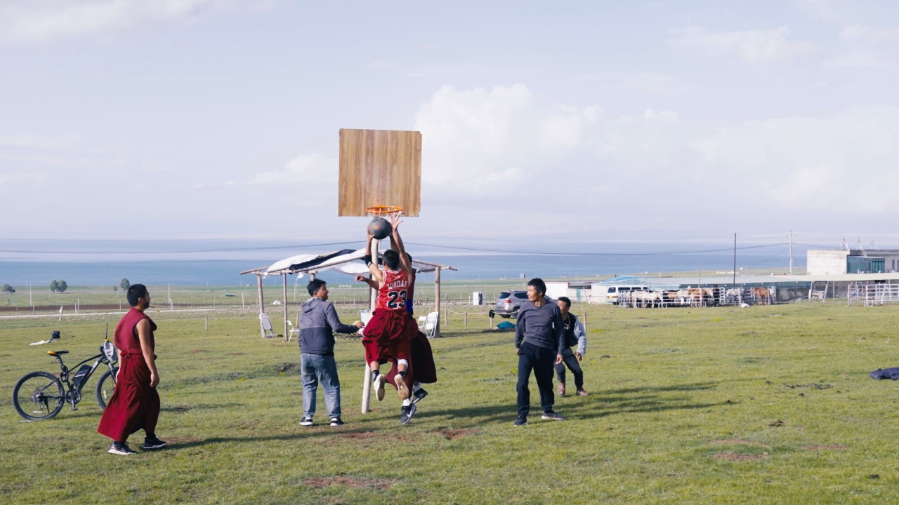 Flying Like a Bird 