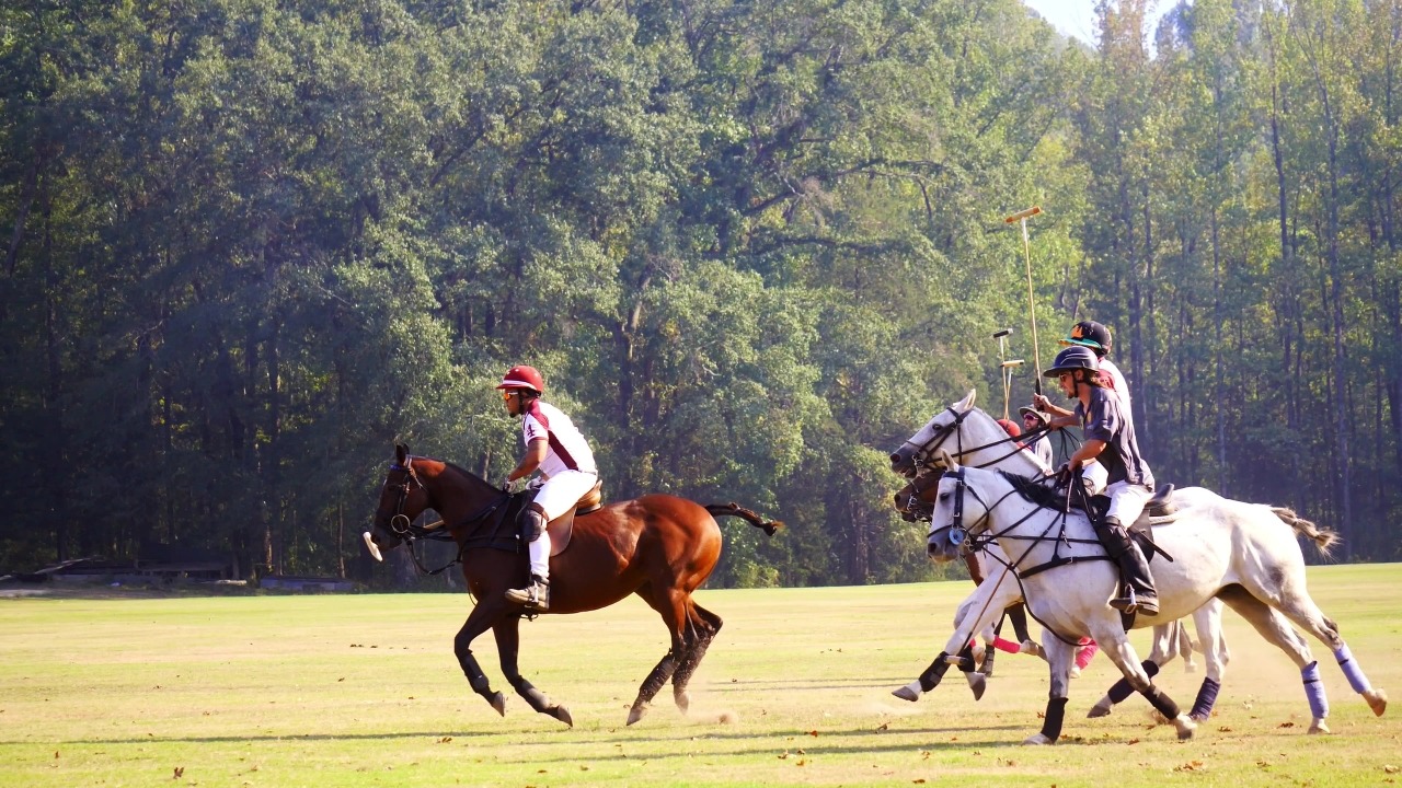 From Rodeo to Polo: The First HBCU Polo Team 