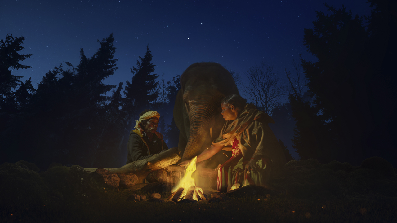 The Elephant Whisperers 