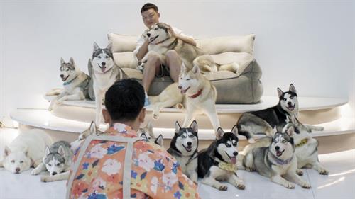 The_Dating_Game_-_Hao_taking_photos_of_Zhou_with_huskies_16x9-3_thumb.jpg